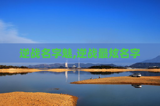 逆战名字魅,逆战最炫名字