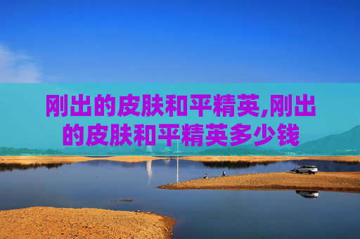 刚出的皮肤和平精英,刚出的皮肤和平精英多少钱