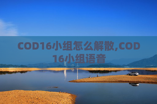 COD16小组怎么解散,COD16小组语音