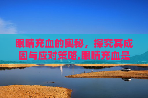 眼睛充血的奥秘，探究其成因与应对策略,眼睛充血是什么原因造成的?有哪些缓解或治疗的方法?
