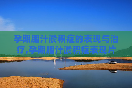 孕期胆汁淤积症的表现与治疗,孕期胆汁淤积症表现片图片