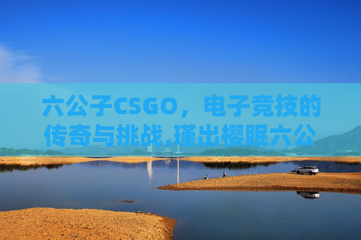 六公子CSGO，电子竞技的传奇与挑战,瑾出樱眠六公子