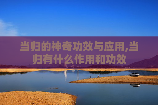 当归的神奇功效与应用,当归有什么作用和功效