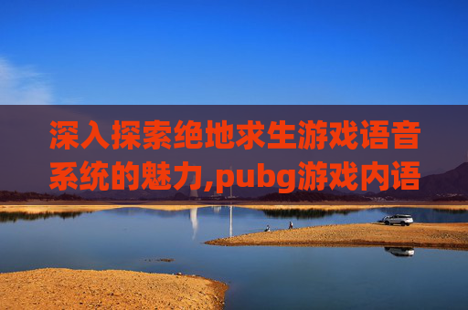 深入探索绝地求生游戏语音系统的魅力,pubg游戏内语音