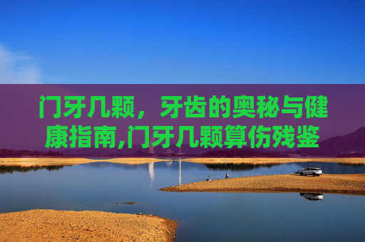 门牙几颗，牙齿的奥秘与健康指南,门牙几颗算伤残鉴定