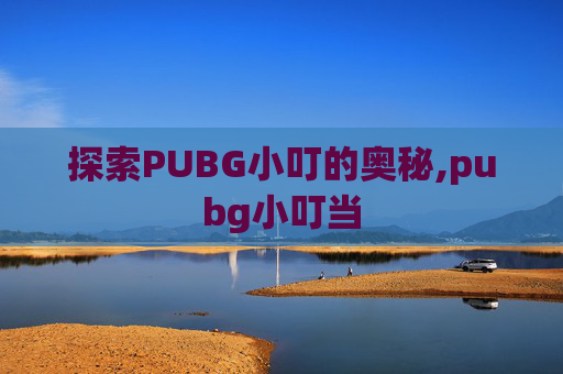 探索PUBG小叮的奥秘,pubg小叮当