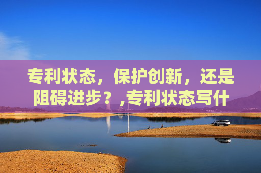 专利状态，保护创新，还是阻碍进步？,专利状态写什么