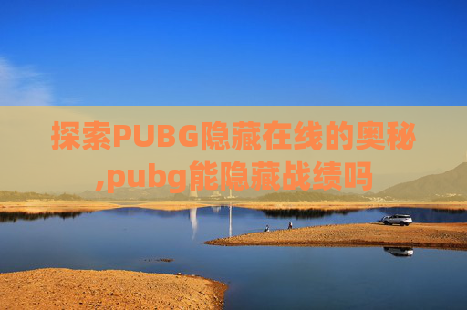 探索PUBG隐藏在线的奥秘,pubg能隐藏战绩吗