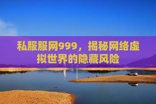 私服服网999，揭秘网络虚拟世界的隐藏风险