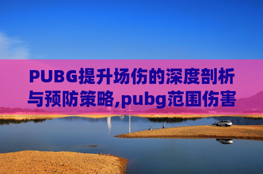 PUBG提升场伤的深度剖析与预防策略,pubg范围伤害