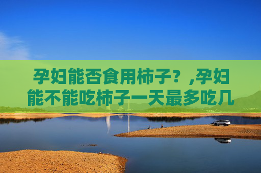 孕妇能否食用柿子？,孕妇能不能吃柿子一天最多吃几个