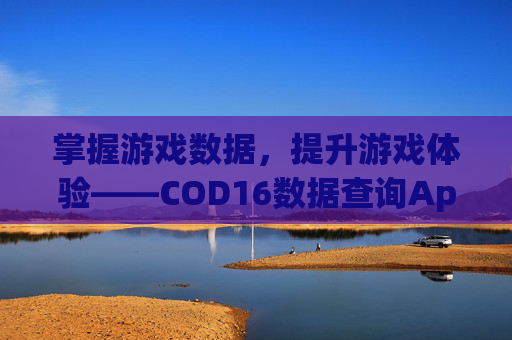 掌握游戏数据，提升游戏体验——COD16数据查询App,使命召唤16数据查询
