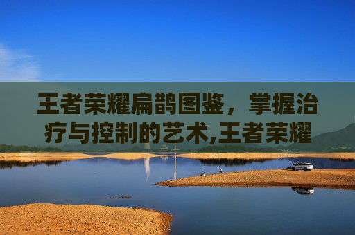 王者荣耀扁鹊图鉴，掌握治疗与控制的艺术,王者荣耀扁庄图片大全