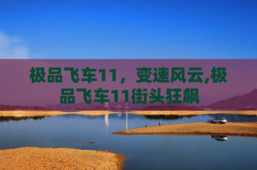 极品飞车11，变速风云,极品飞车11街头狂飙