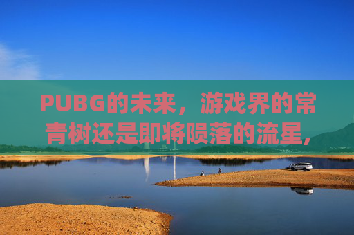 PUBG的未来，游戏界的常青树还是即将陨落的流星,pubg会误封吗