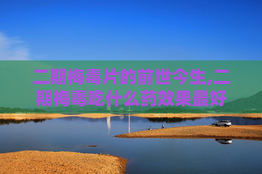 二期梅毒片的前世今生,二期梅毒吃什么药效果最好
