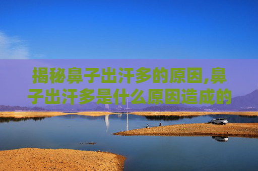 揭秘鼻子出汗多的原因,鼻子出汗多是什么原因造成的