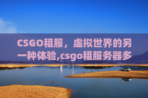 CSGO租服，虚拟世界的另一种体验,csgo租服务器多少钱