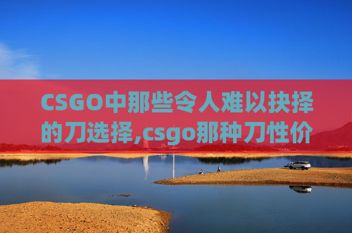 CSGO中那些令人难以抉择的刀选择,csgo那种刀性价比高