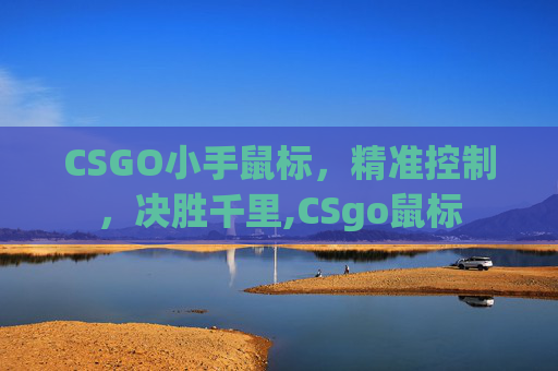 CSGO小手鼠标，精准控制，决胜千里,CSgo鼠标