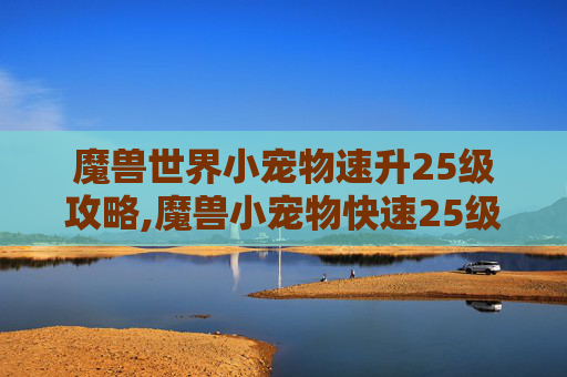 魔兽世界小宠物速升25级攻略,魔兽小宠物快速25级