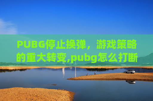 PUBG停止换弹，游戏策略的重大转变,pubg怎么打断换弹