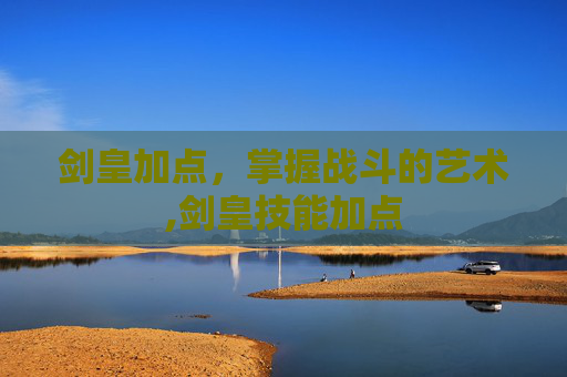 剑皇加点，掌握战斗的艺术,剑皇技能加点