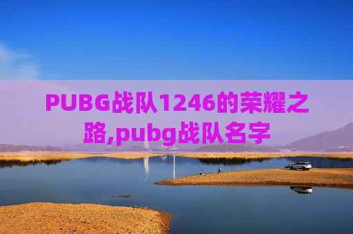 PUBG战队1246的荣耀之路,pubg战队名字