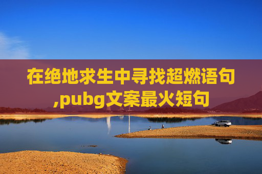 在绝地求生中寻找超燃语句,pubg文案最火短句