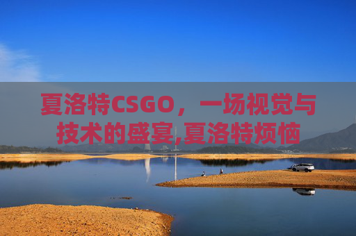 夏洛特CSGO，一场视觉与技术的盛宴,夏洛特烦恼