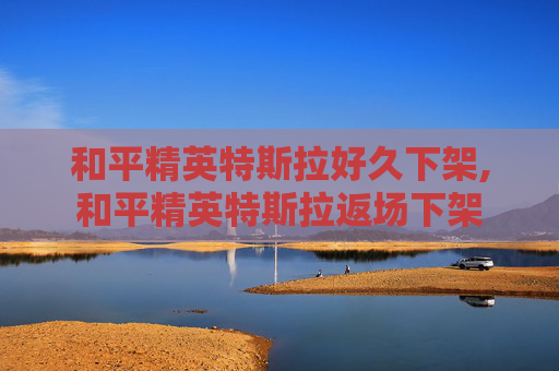 和平精英特斯拉好久下架,和平精英特斯拉返场下架