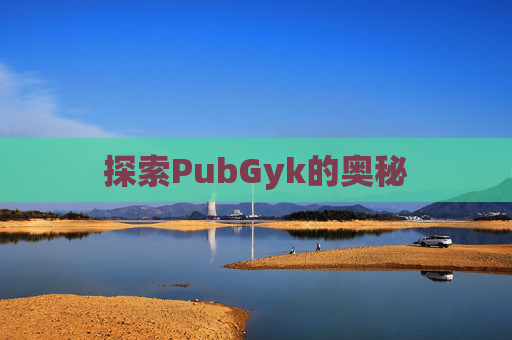 探索PubGyk的奥秘