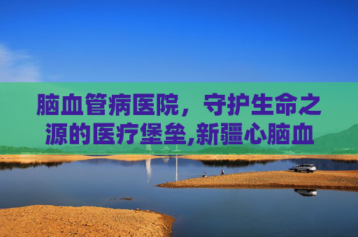 脑血管病医院，守护生命之源的医疗堡垒,新疆心脑血管病医院