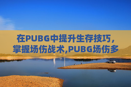 在PUBG中提升生存技巧，掌握场伤战术,PUBG场伤多少算高