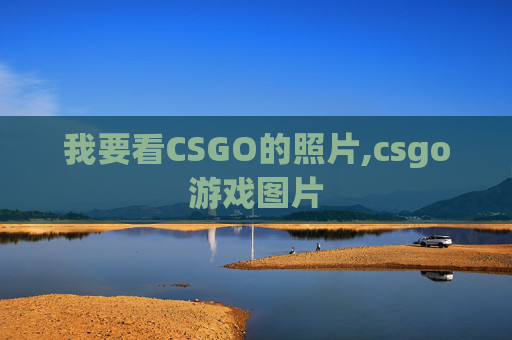 我要看CSGO的照片,csgo游戏图片