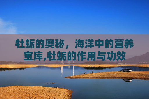牡蛎的奥秘，海洋中的营养宝库,牡蛎的作用与功效