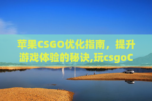 苹果CSGO优化指南，提升游戏体验的秘诀,玩csgoCPU优化设置