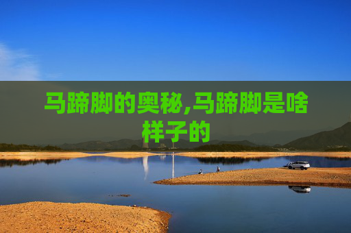 马蹄脚的奥秘,马蹄脚是啥样子的
