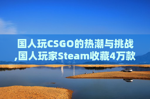 国人玩CSGO的热潮与挑战,国人玩家Steam收藏4万款游戏