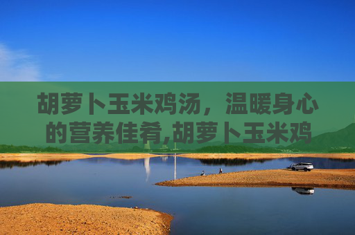 胡萝卜玉米鸡汤，温暖身心的营养佳肴,胡萝卜玉米鸡汤加什么配料
