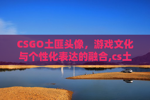 CSGO土匪头像，游戏文化与个性化表达的融合,cs土匪人物头像