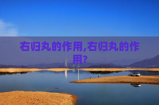右归丸的作用,右归丸的作用?
