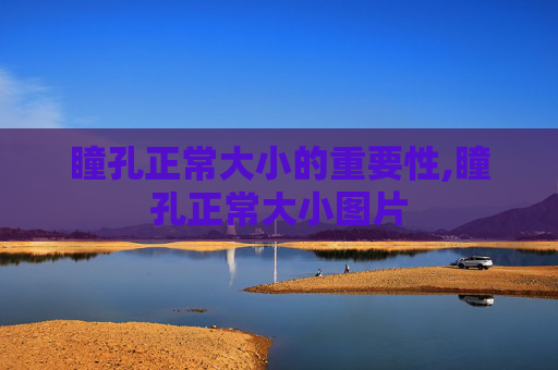 瞳孔正常大小的重要性,瞳孔正常大小图片