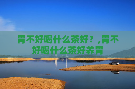 胃不好喝什么茶好？,胃不好喝什么茶好养胃
