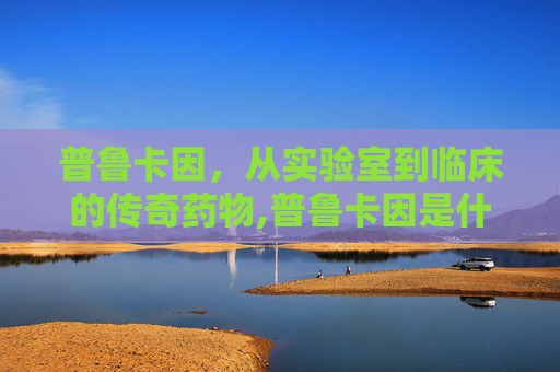 普鲁卡因，从实验室到临床的传奇药物,普鲁卡因是什么药