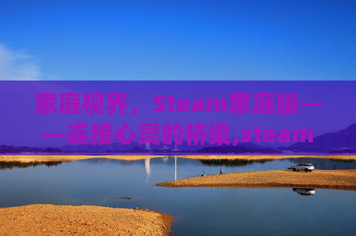 家庭视界，Steam家庭版——连接心灵的桥梁,steam家庭视图pin码