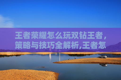 王者荣耀怎么玩双钻王者，策略与技巧全解析,王者怎么打双排