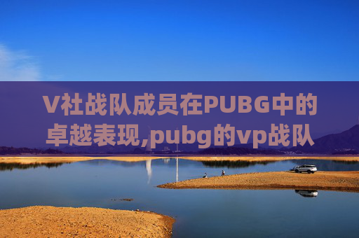 V社战队成员在PUBG中的卓越表现,pubg的vp战队