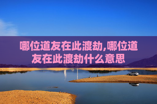哪位道友在此渡劫,哪位道友在此渡劫什么意思