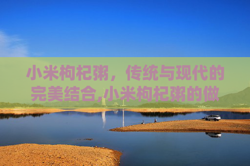 小米枸杞粥，传统与现代的完美结合,小米枸杞粥的做法